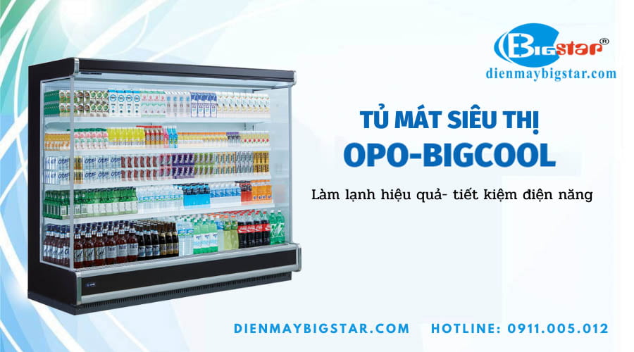 tu mat sieu thi OPO BIGCOOL 1800mm 4
