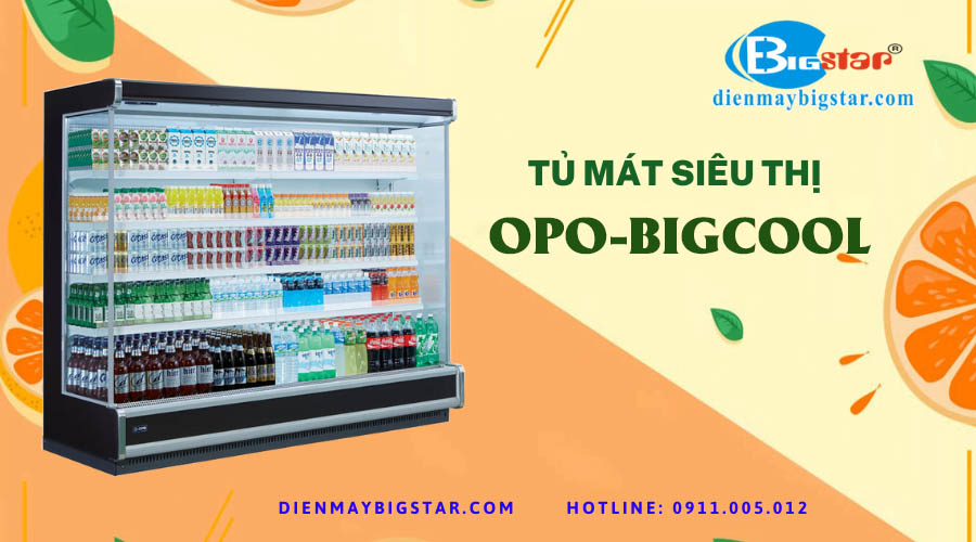 tu mat sieu thi OPO BIGCOOL 1800mm 2
