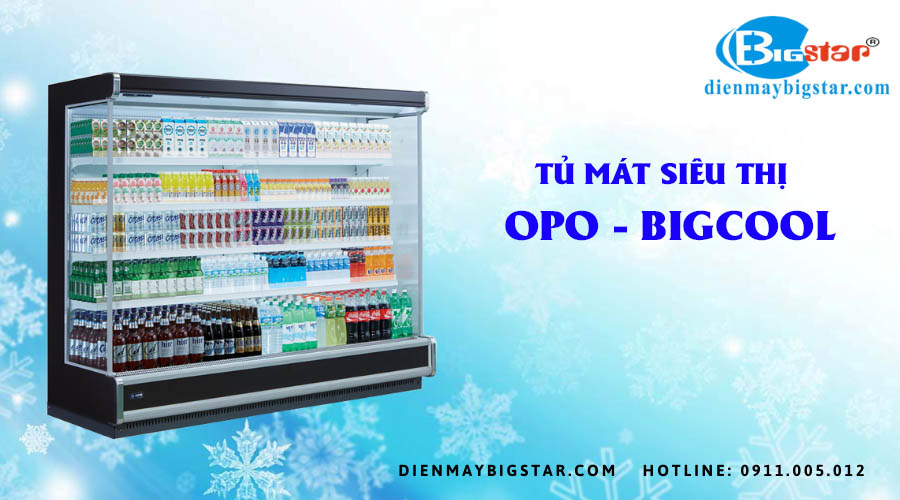 tu mat sieu thi OPO BIGCOOL 1800mm