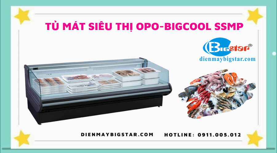 Tủ mát siêu thị OPO-BIGCOOL SSMP