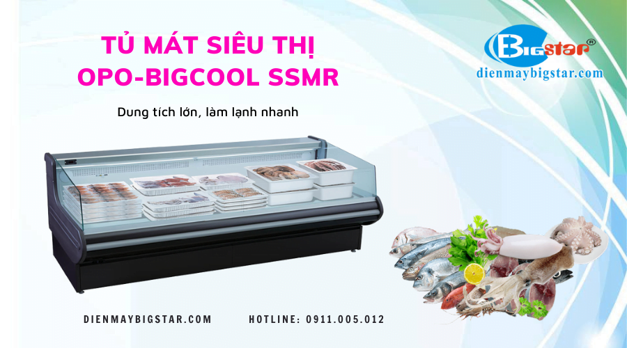 Tủ mát siêu thị OPO-BIGCOOL SSMR