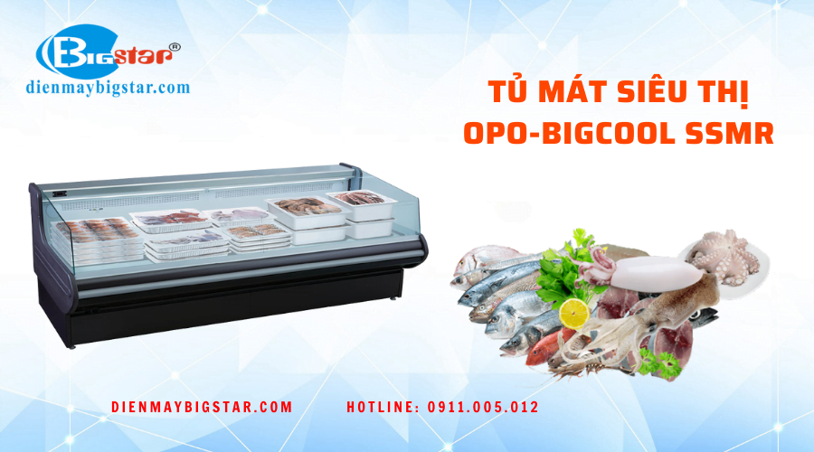 Tủ mát siêu thị OPO-BIGCOOL SSMR