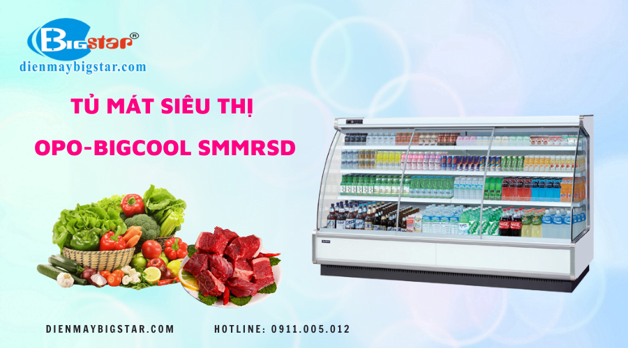 Tủ mát siêu thị OPO-BIGCOOL SMMRSD