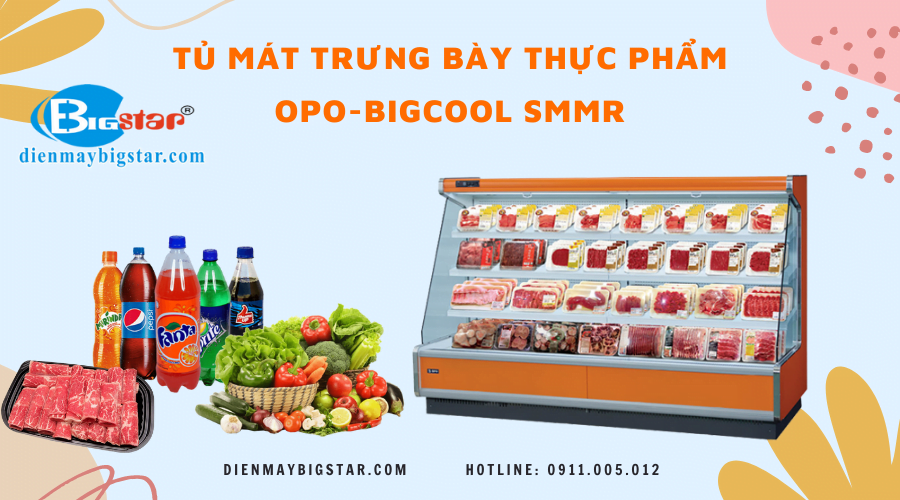 Tủ mát trưng bày thực phẩm OPO-BIGCOOL SMMR