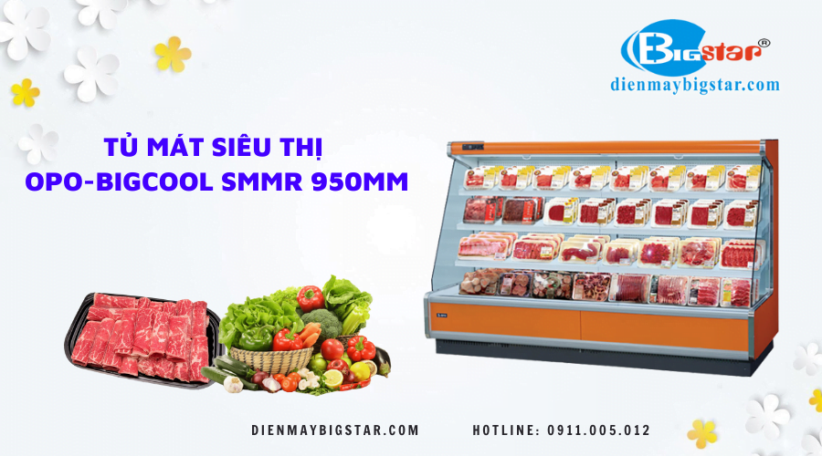 Tủ mát siêu thị OPO-BIGCOOL SMMR 950mm