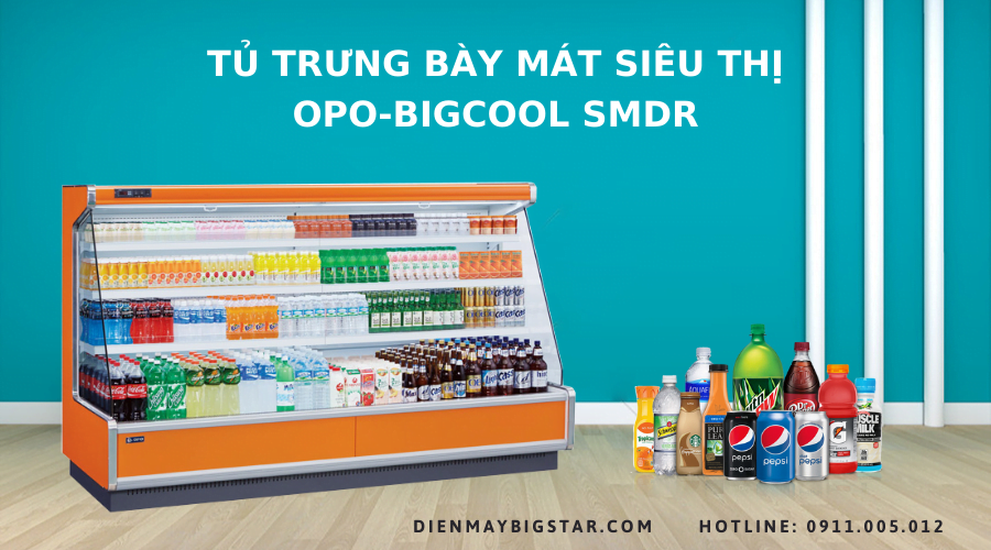 Tủ mát siêu thị OPO-BIGCOOL SMDR