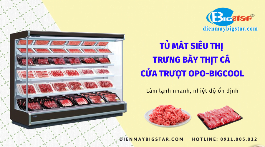 Tủ mát siêu thị trưng bày thịt cá cửa trượt OPO-BIGCOOL