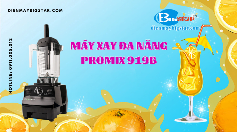 Máy xay đa năng Promix 919B 11 Máy xay đa năng Promix 919B