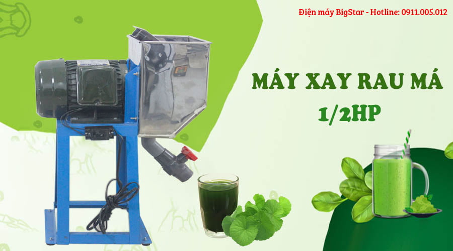 Máy xay rau má 1/2HP 11 máy xay rau má 1/2HP