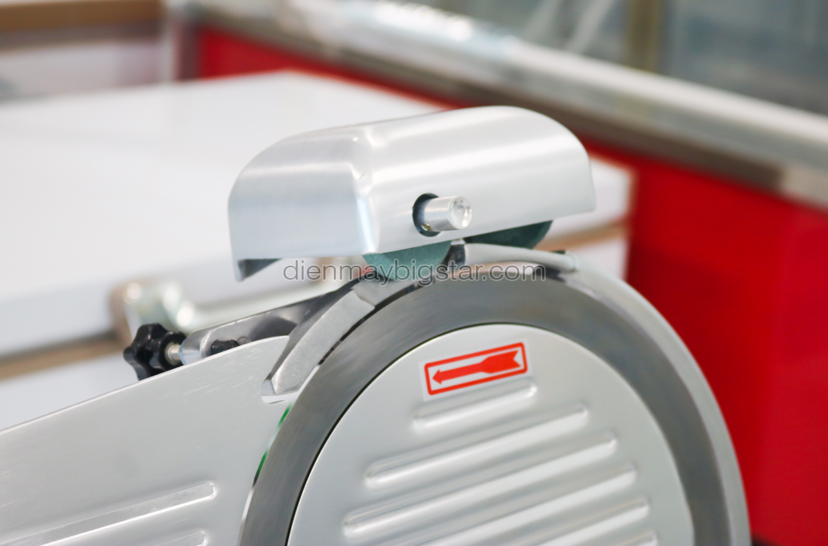 Máy cắt thịt ES-250 24 may cat thit tuoi song es 250 2