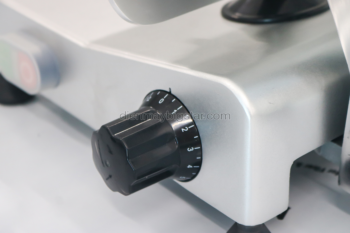 Máy cắt thịt ES-250 27 may cat thit tuoi song es 250 3