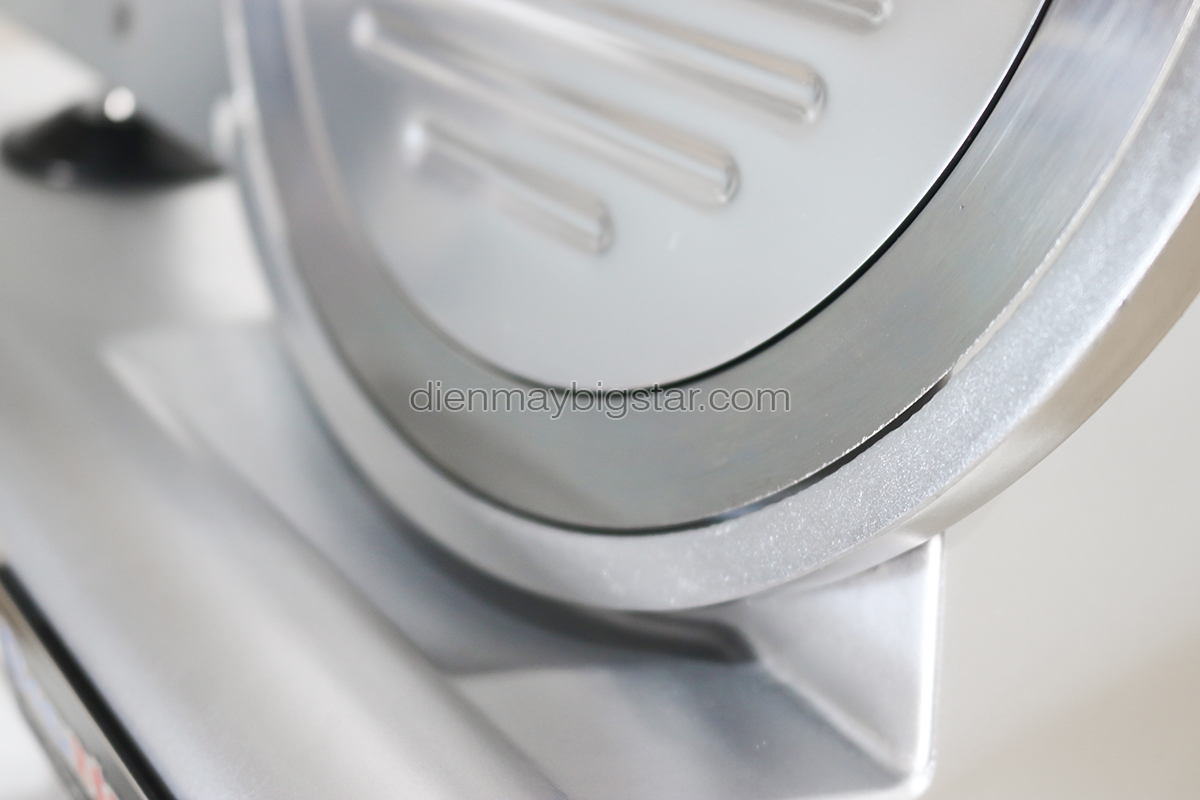 Máy cắt thịt ES-250 21 may cat thit tuoi song es 250 6