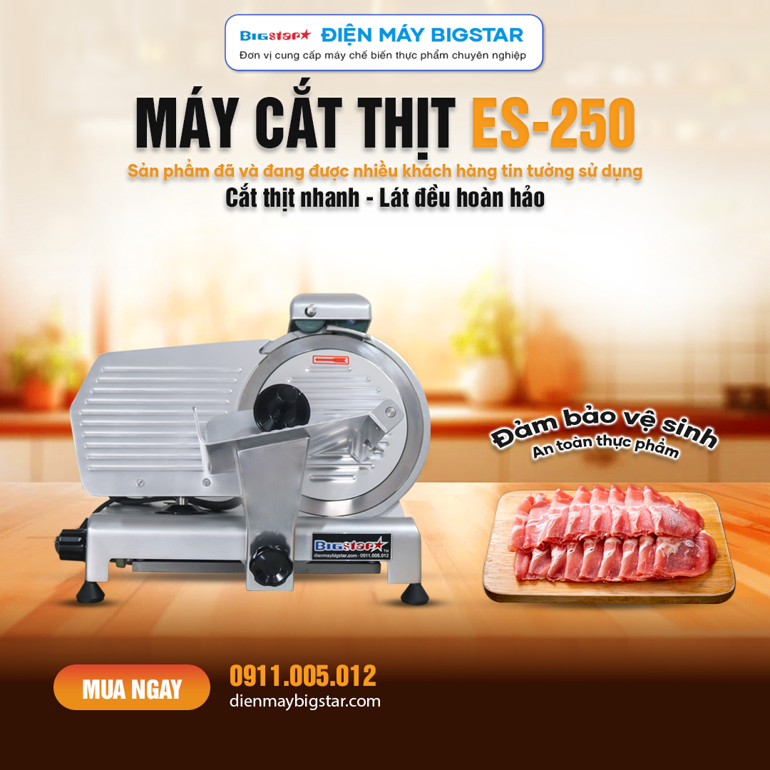 Máy cắt thịt ES-250 19 may cat thit tuoi song es 250 banner