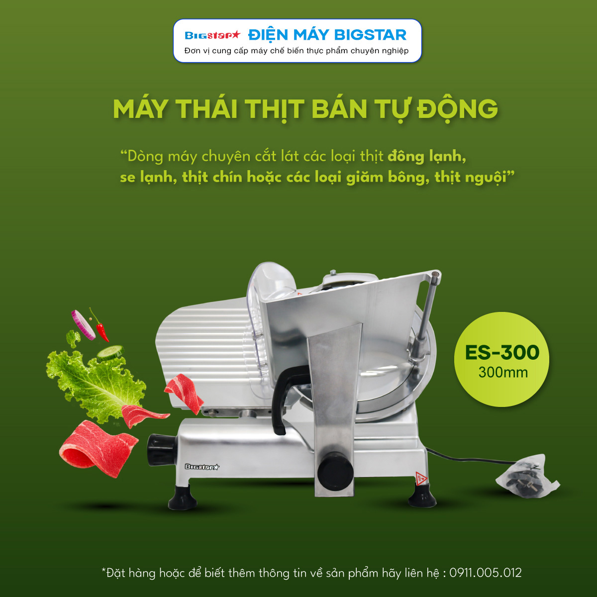 Máy thái lát thịt bán tự động 300mm ES-300 10 may cat lat thit es 300 trr1