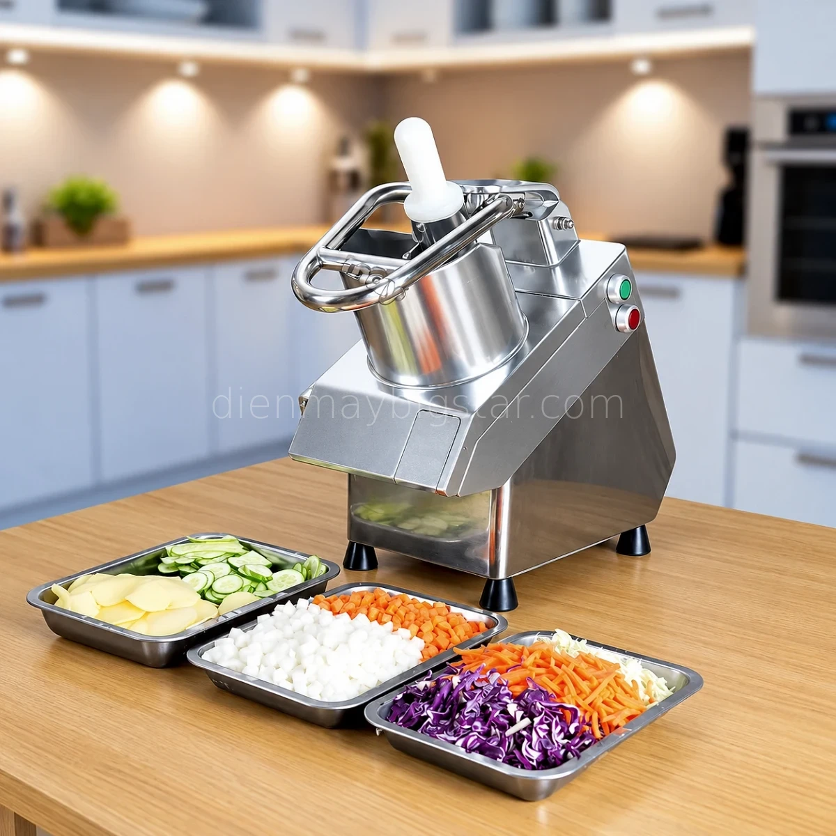 Máy thái rau củ quả VC-65MS 17 may thai rau cu vc 60ms 4