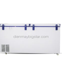 tu dong mat da nang bigcool t 9