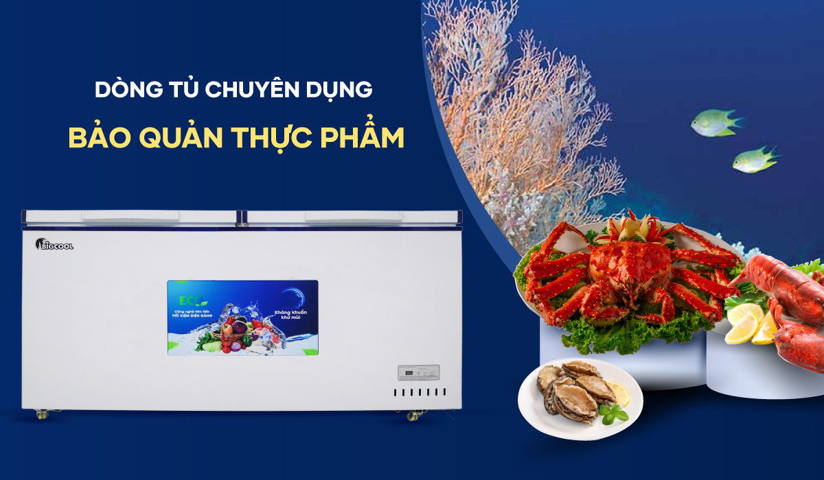 Tủ đông mát đa năng 1m6 MS-650L