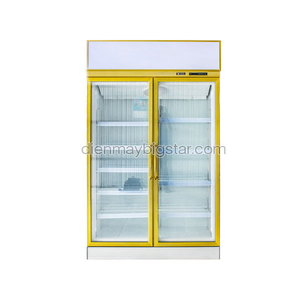 Tủ mát 2 cánh Đài Loan DL-1200F - Thông số kỹ thuật