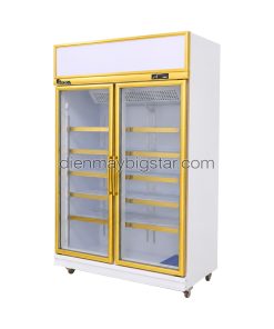 tu mat 2 canh cao cap DL 1200F 2