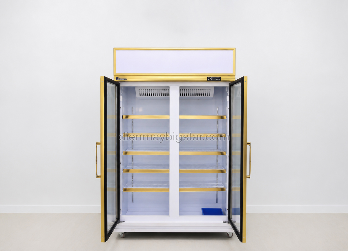 tu mat 2 canh cao cap DL 1200F 3