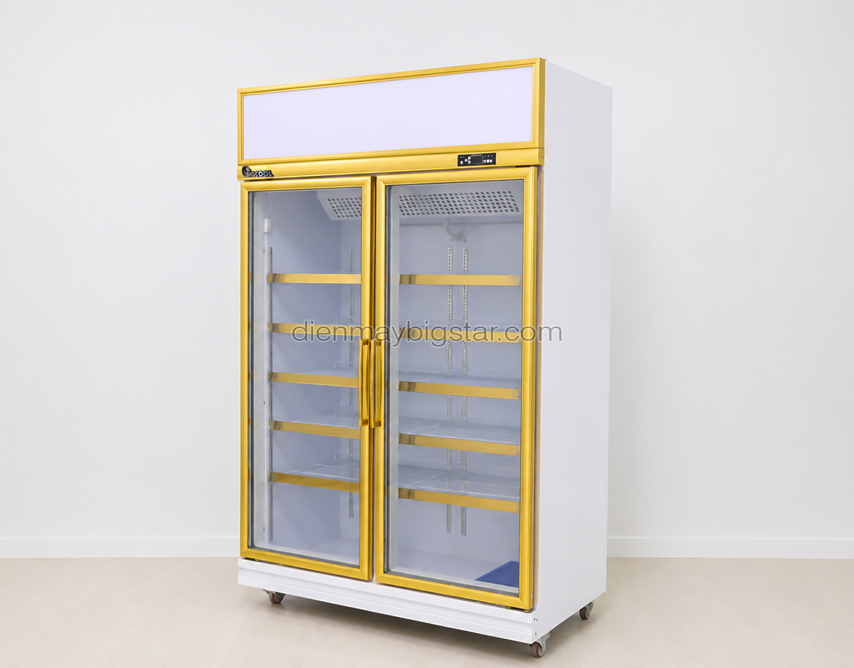 tu mat 2 canh cao cap DL 1200F 4
