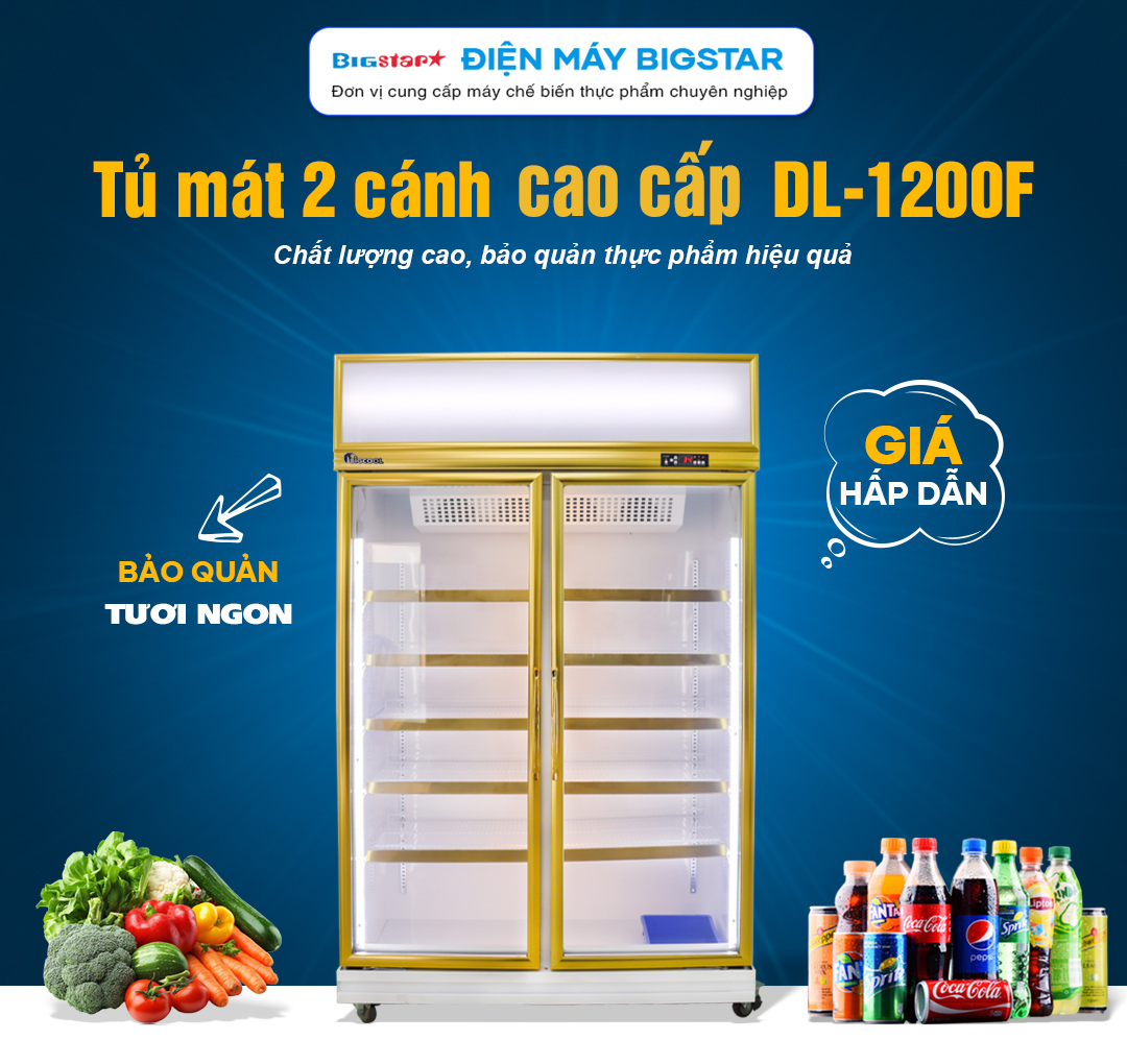 tu mat 2 canh cao cap DL 1200F banner