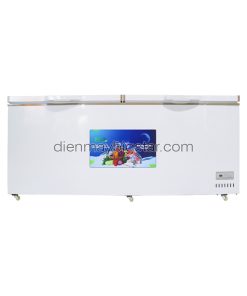 Tủ đông nằm 700L 1m7 BigCool SS-700L