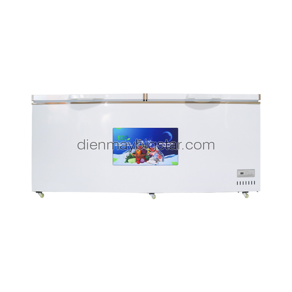 Tủ đông nằm 700L 1m7 BigCool SS-700L - Thông số kỹ thuật