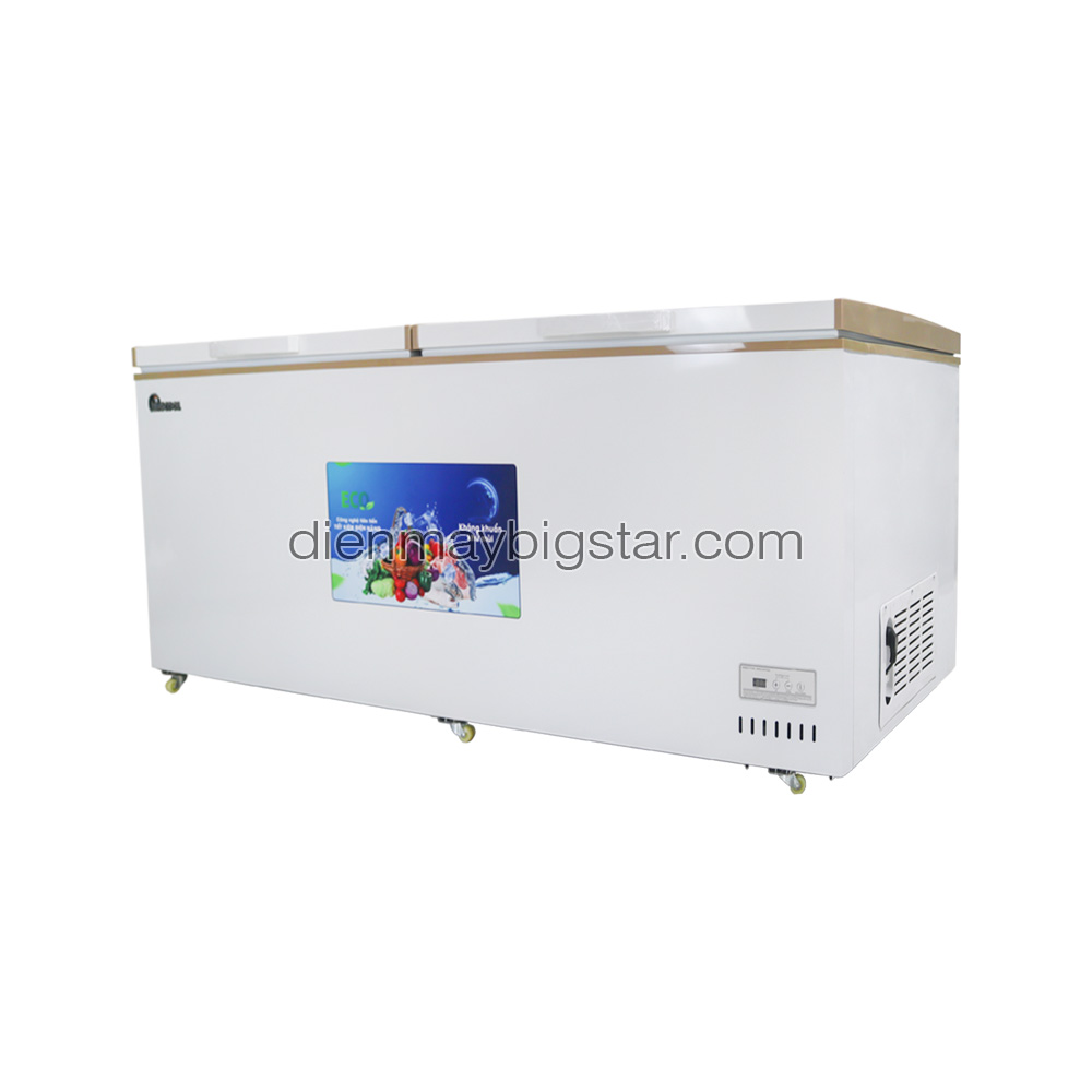 Tủ đông nằm 700L 1m7 BigCool SS-700L 10 Tủ đông nằm 700L 1m7 BigCool SS-700L - Ảnh 2