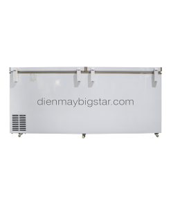 Tủ đông nằm 700L 1m7 BigCool SS-700L 15 tu dong nam 700L 1m7 bigcool 4