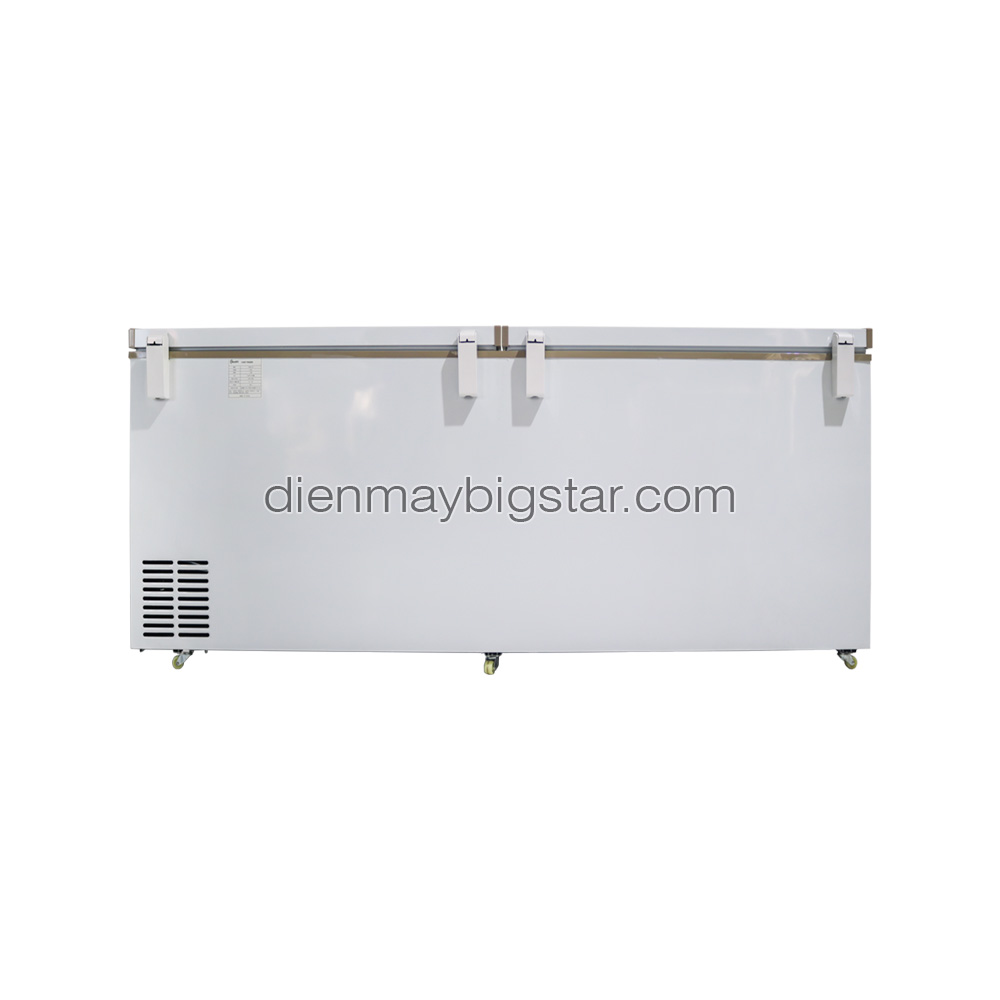 Tủ đông nằm 700L 1m7 BigCool SS-700L 12 Tủ đông nằm 700L 1m7 BigCool SS-700L - Ảnh 4