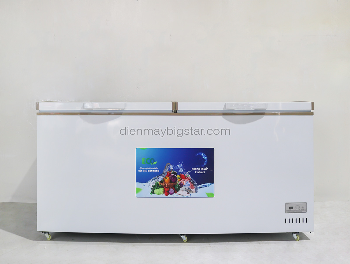 tu dong nam 700L 1m7 bigcool 5