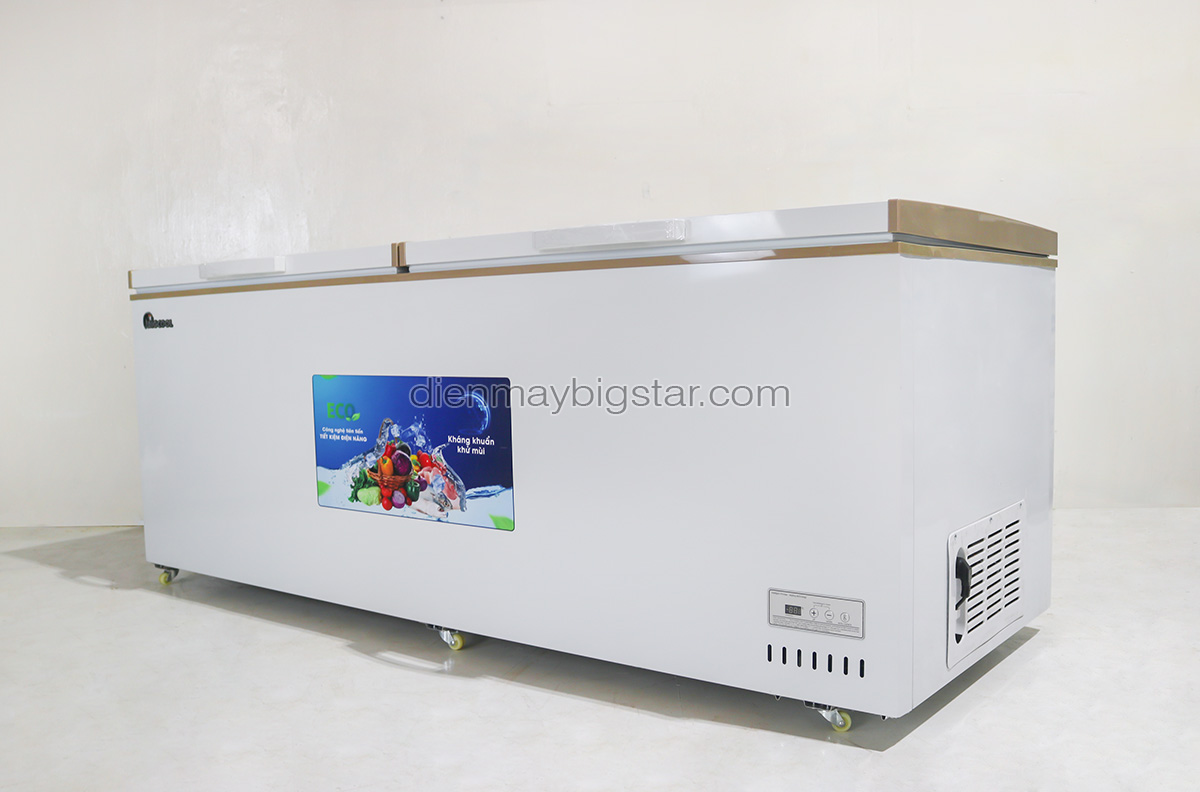 tu dong nam 700L 1m7 bigcool 8