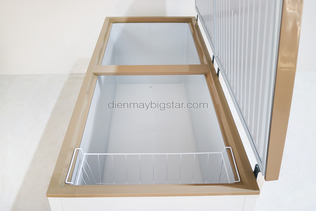 tu dong nam 700L 1m7 bigcool 9