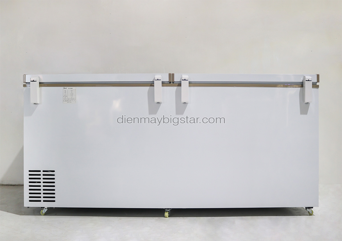 tu dong nam 700L 1m7 bigcool 11