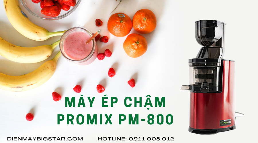 Máy ép hoa quả chậm Promix PM-800 22 may ep hoa qua cham pm 800 promix 2