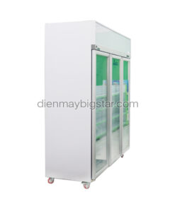 Tủ đông cánh kính cao cấp 3 cánh LD-1800FA 10 tu dong 3 canh bigcool r t 1