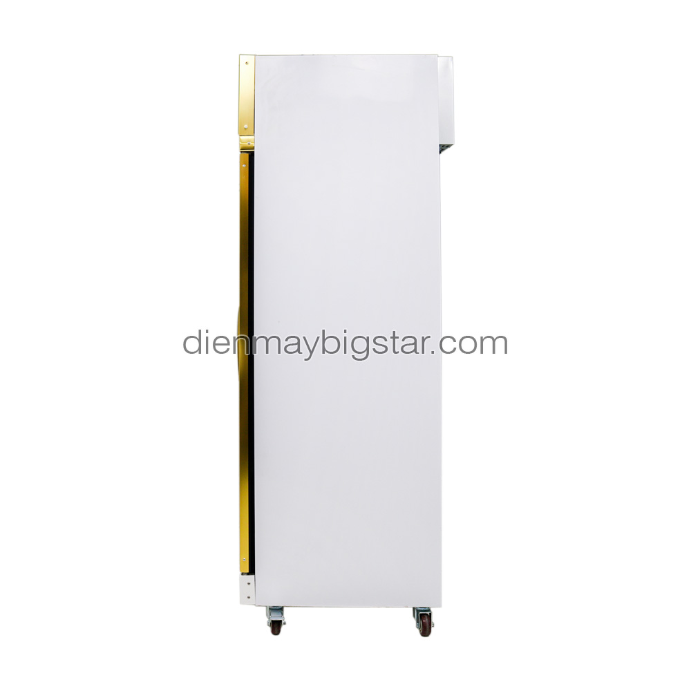 Tủ mát 3 cánh Đài Loan DL-1800F 16 Tủ mát 3 cánh Đài Loan DL-1800F - Ảnh 5