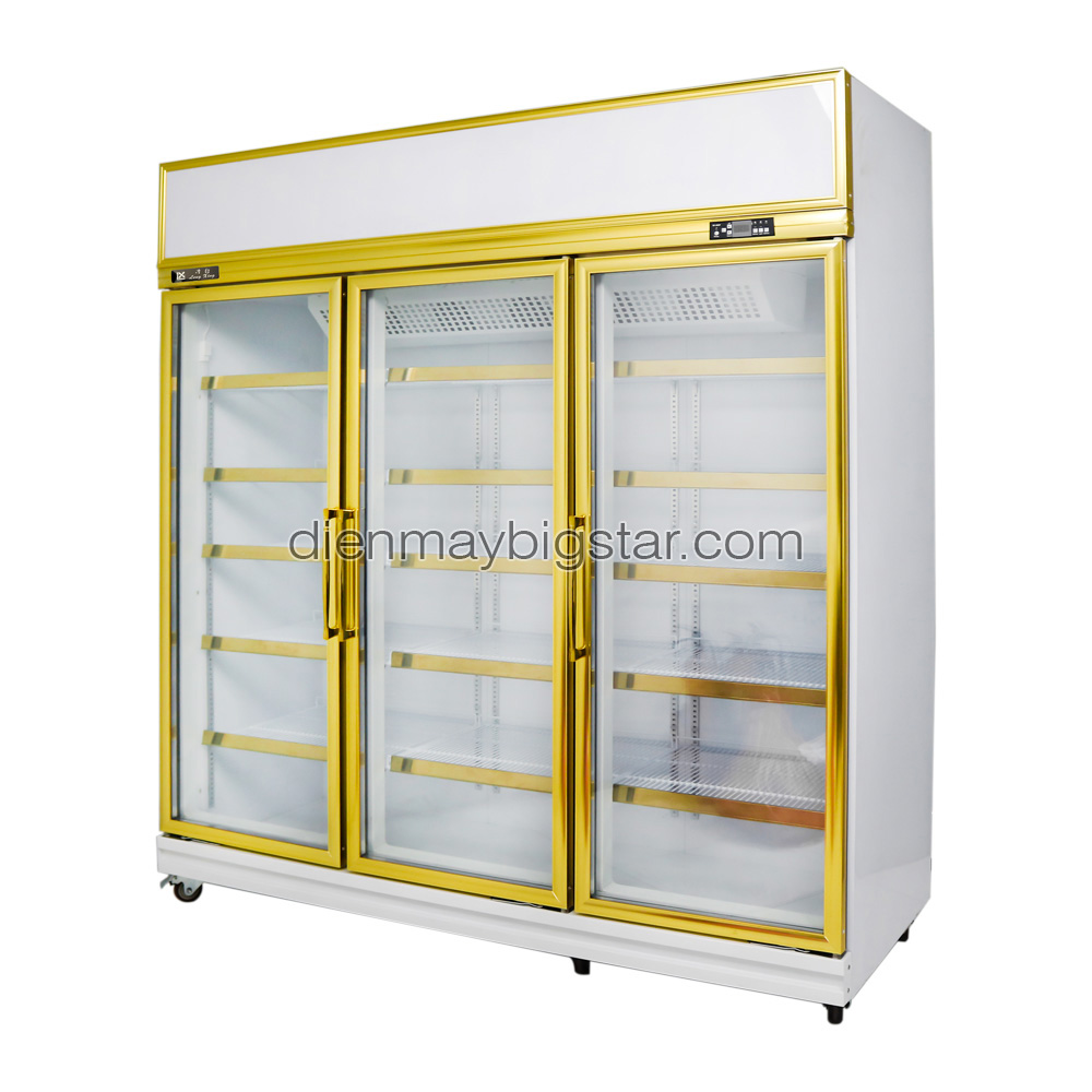 Tủ mát 3 cánh Đài Loan DL-1800F 13 Tủ mát 3 cánh Đài Loan DL-1800F - Ảnh 2