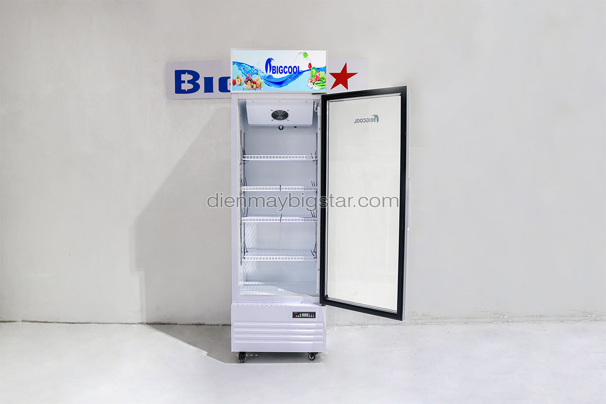 tu mat 1 canh say kinh BigCool CL 600F 1.1