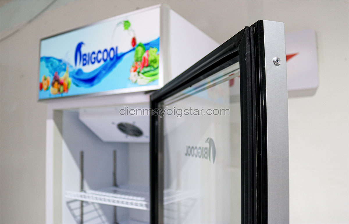 tu mat 1 canh say kinh BigCool CL 600F 1.5