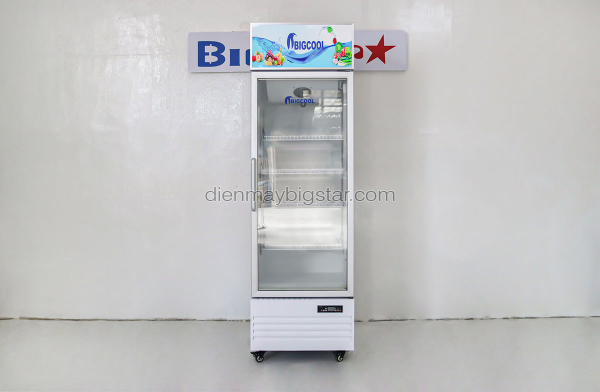 tu mat 1 canh say kinh BigCool CL 600F 1.9