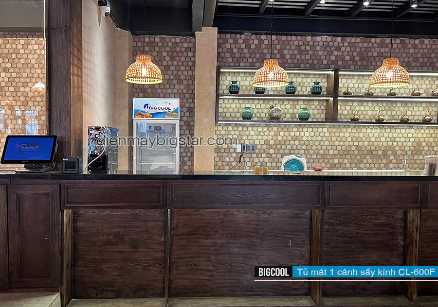 tu mat 1 canh say kinh CL 600F bigcool 1 re