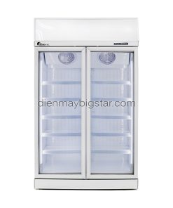 Tủ đông cánh kính cao cấp 2 cánh LD-1200FA