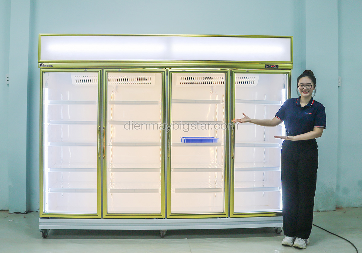 Tủ mát 4 cánh cao cấp DL-2500F 12 tu mat 4 canh cao cap dl 2500f 5