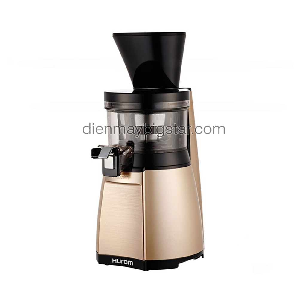 Máy ép trái cây tốc độ chậm 9 Máy ép trái cây tốc độ chậm