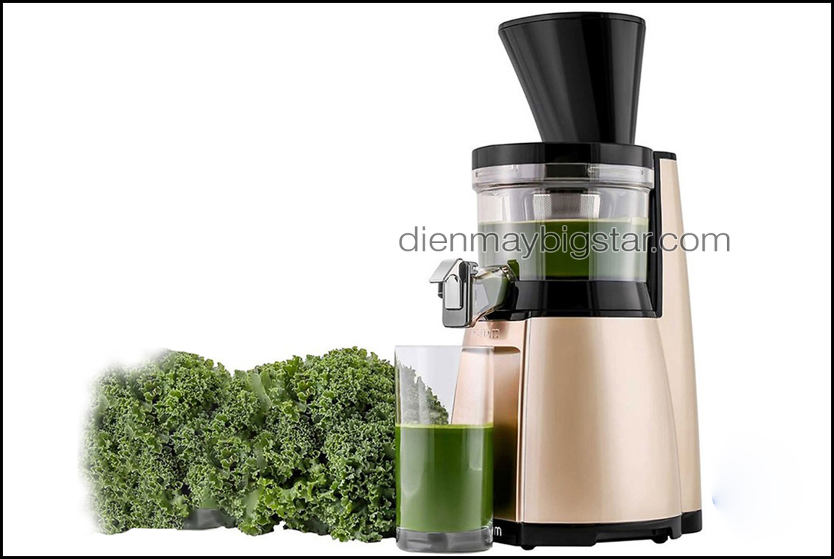 Máy ép trái cây tốc độ chậm 17 may ep cham hu 19sgm 3