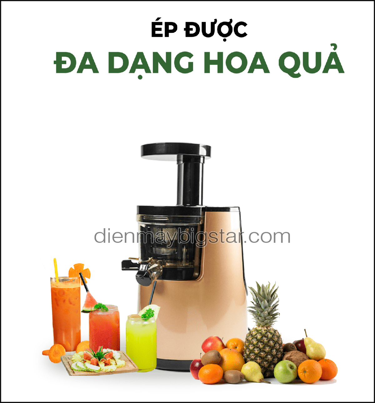 Máy ép trái cây tốc độ chậm 22 may ep trai cay cham promix sj 06 4