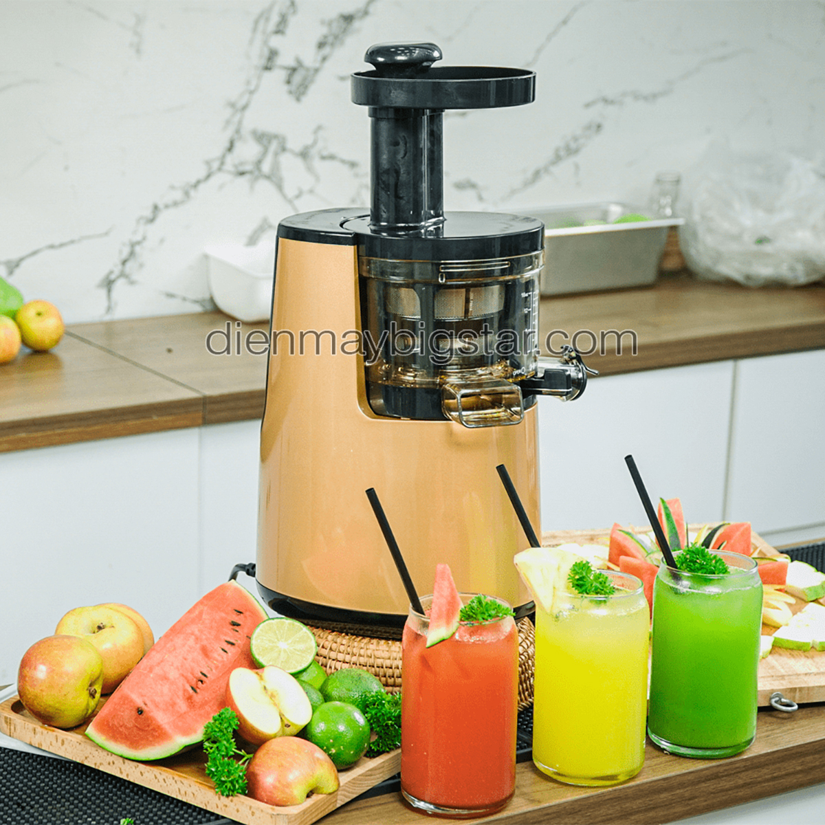Máy ép trái cây tốc độ chậm 18 may ep trai cay cham promix sj 06 6