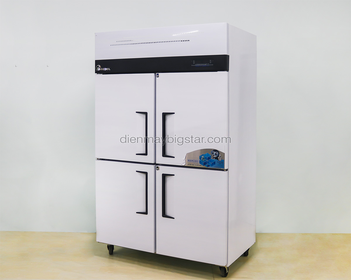 tu dong mat da nang 4 canh 1m2 bigcool tdm 1200DL 6